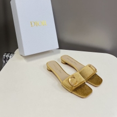 Christian Dior Slippers